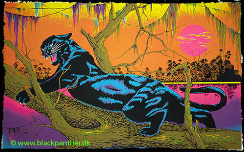Poster with a black panther