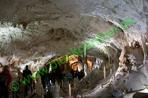 Cave in Ljubljana