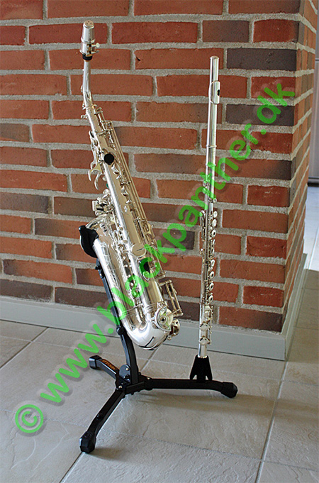 Saxophone and flute stand