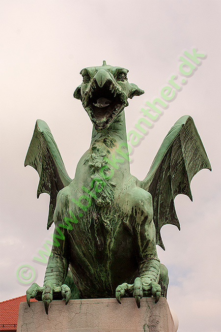 Dragon in Ljubljana
