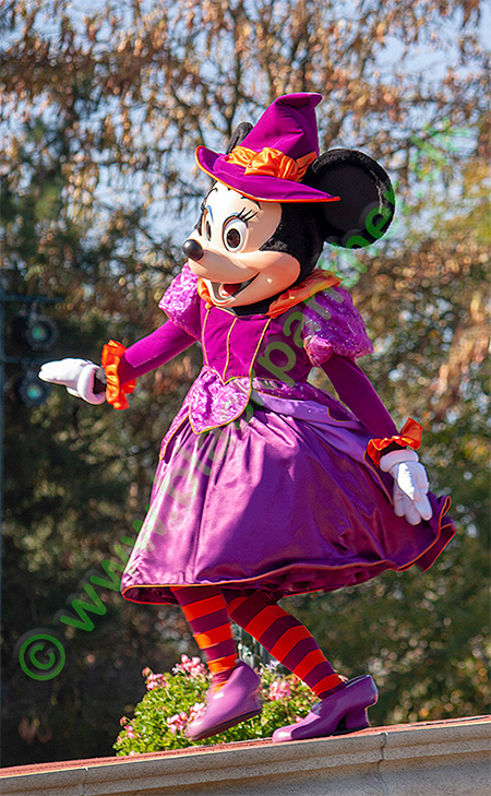 Minnie from Disneyland Paris