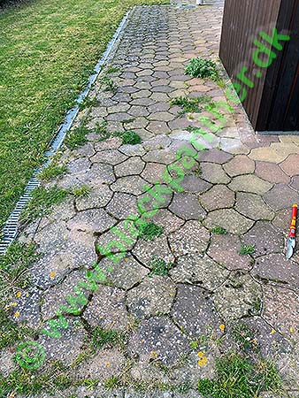 Garden tiles before cleaning