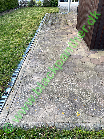 Garden tiles after cleaning