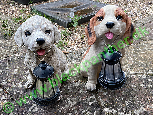 Dog with solar light