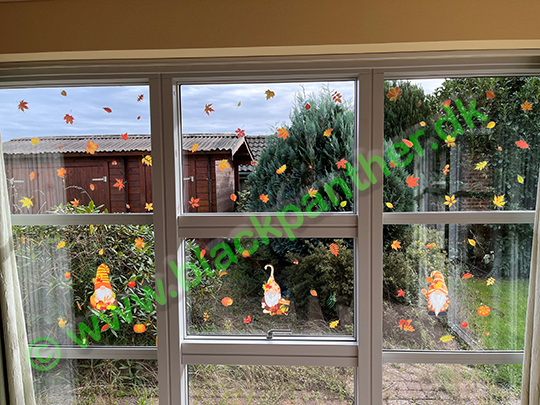 Fall decorations on my windows
