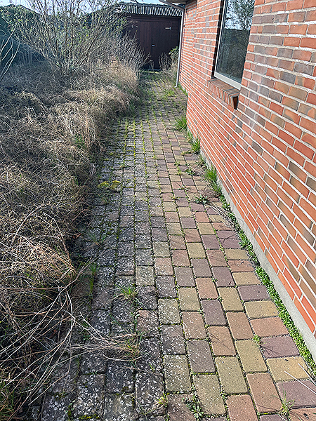 Part of the pathway before the weed was removed